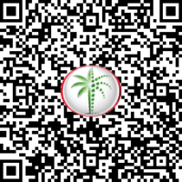 QR Code 1